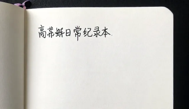 科学养猫：定时喂食与自由进食的优劣比较